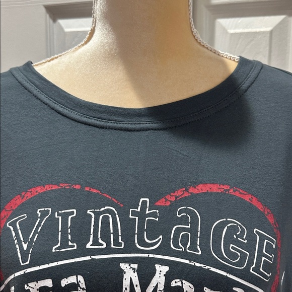 Anthropologie Pilcro Twofer Band Top Size 2X - Picture 7 of 15